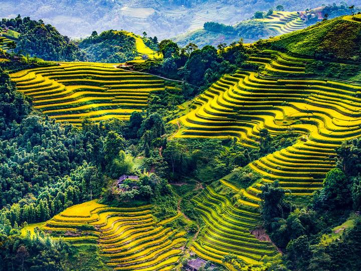 Hotspot Matrix: Biến 4 con giáp được quý nhân giúp thành cơ hội marketing đột phá