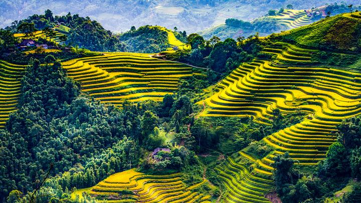 Từ Jollibee Việt Nam mang “Vui đến chiến lược content: Hotspot Matrix chia sẻ