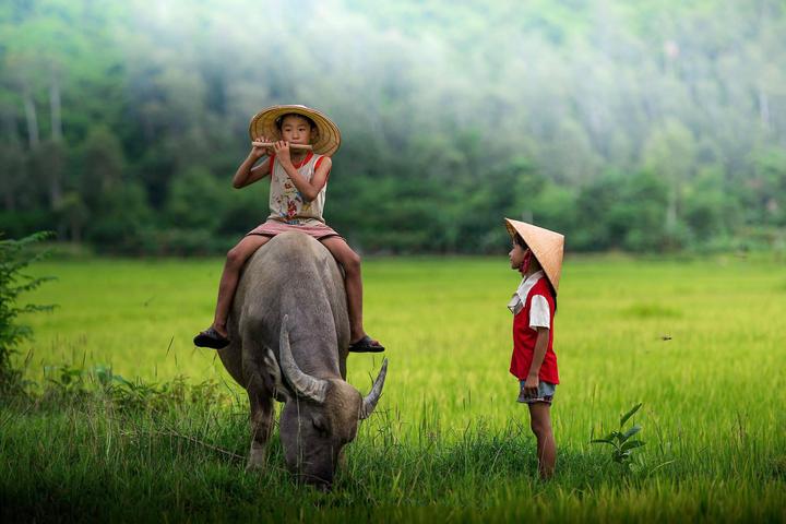 Xu hướng Quán cơm nhà ở Hà Nội: 5 năm: Hotspot Matrix tiết lộ bí quyết video viral