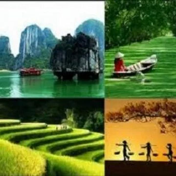 Xu hướng Loài cá kỳ lạ nhất châu Phi:: Hotspot Matrix tiết lộ bí quyết video viral