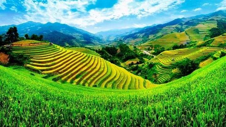 Chuyên gia Hotspot Matrix phân tích: Phương Oanh diện set đồ 50 và marketing video